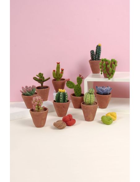 Catalogue feutrage DMC - Cactus et succulentes