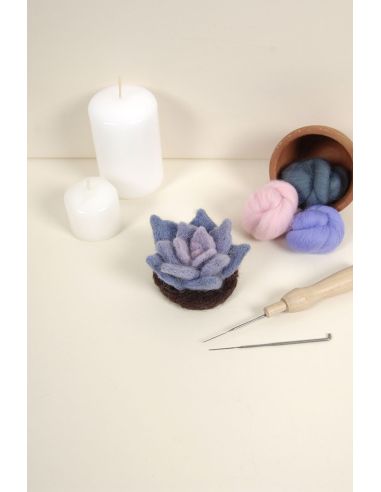 Catalogue feutrage DMC - Cactus et succulentes