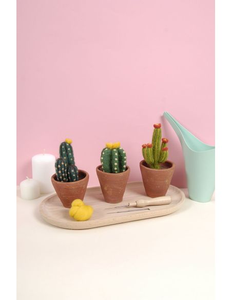 Catalogue feutrage DMC - Cactus et succulentes
