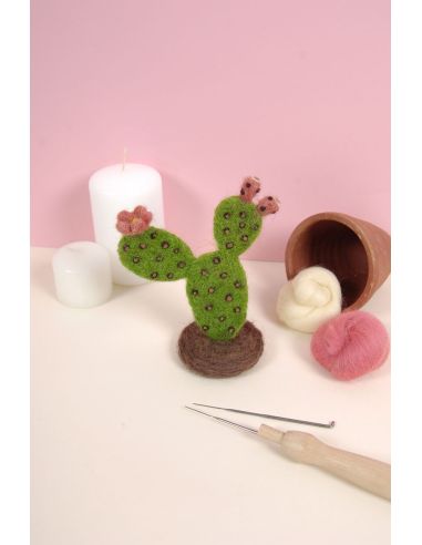 Catalogue feutrage DMC - Cactus et succulentes