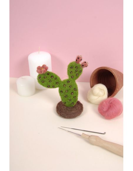 Catalogue feutrage DMC - Cactus et succulentes