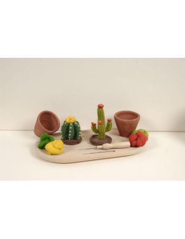 Catalogue feutrage DMC - Cactus et succulentes