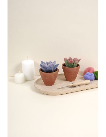 Catalogue feutrage DMC - Cactus et succulentes