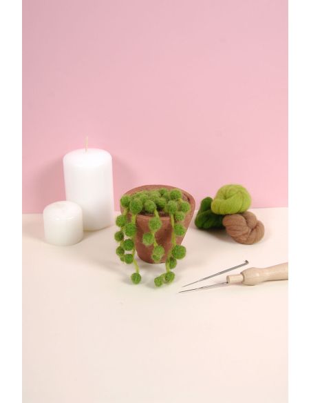 Catalogue feutrage DMC - Cactus et succulentes