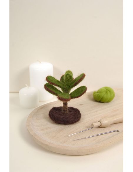 Catalogue feutrage DMC - Cactus et succulentes
