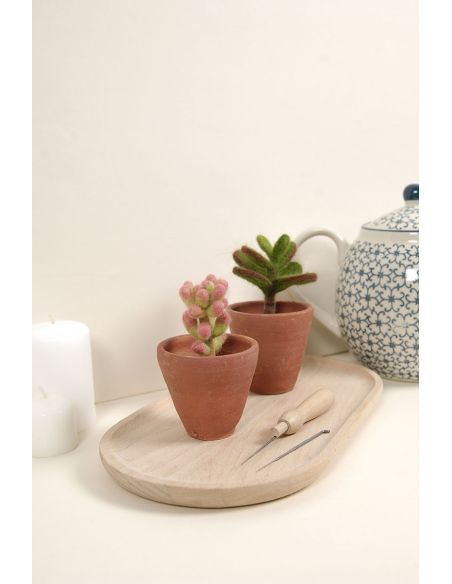 Catalogue feutrage DMC - Cactus et succulentes