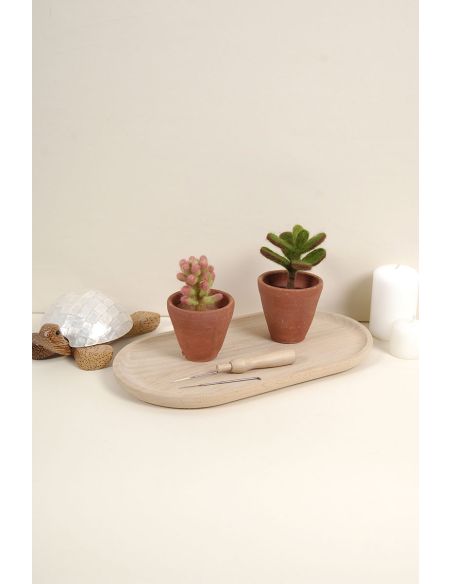 Catalogue feutrage DMC - Cactus et succulentes