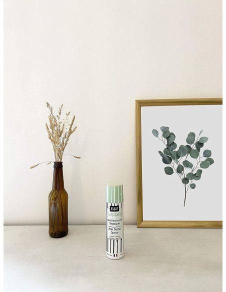 Spray anti-électricité statique AntiStatic