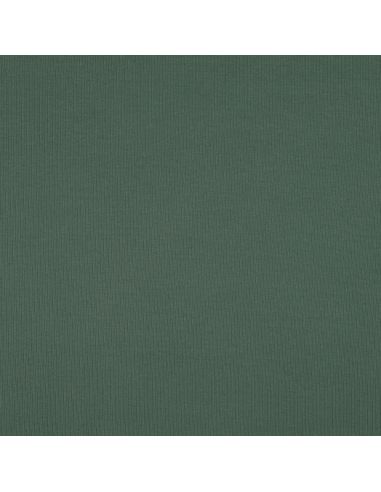 Tissu jersey coton maille fine côtelé - Vert
