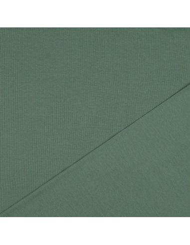 Tissu jersey coton maille fine côtelé - Vert
