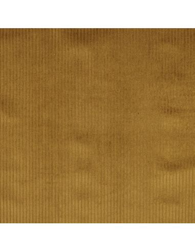 Tissu velours côtelé coton - Ocre