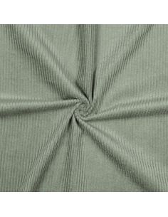 Tissu velours côtelé coton - Vert sauge