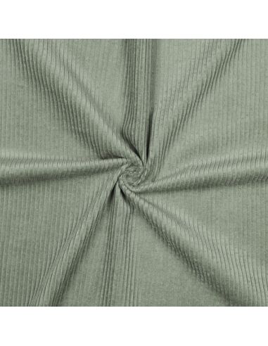 Tissu velours côtelé coton - Vert sauge