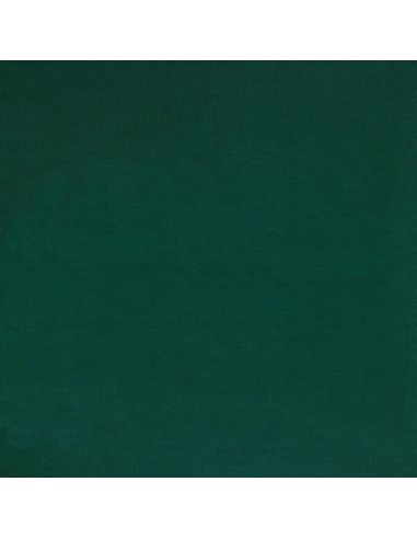 Tissu jersey tencel modal - Vert