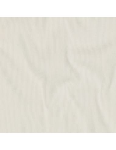 Tissu jersey bord côte côtelé - Écru