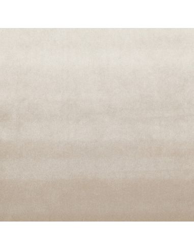 Tissu velours luxe d'ameublement - Champagne
