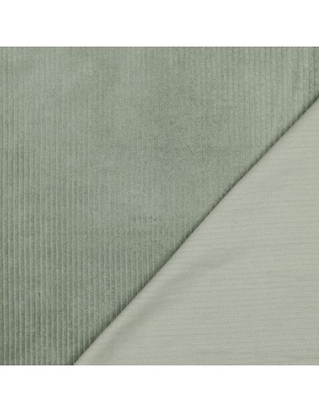 Tissu velours côtelé coton - Vert sauge