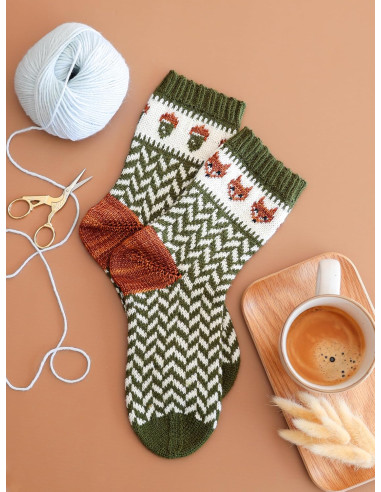 Livre le guide des chaussettes au tricot jacquard