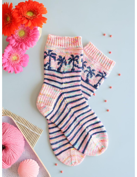 Livre le guide des chaussettes au tricot jacquard
