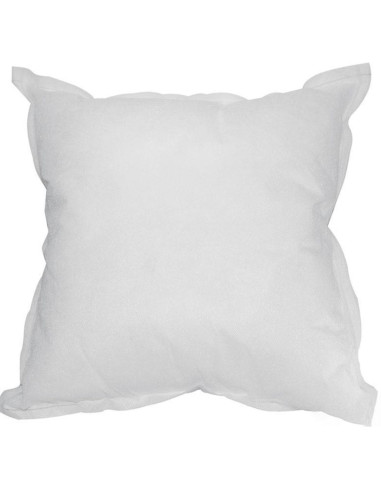 Coussin rembourrage 40 x 40 cm