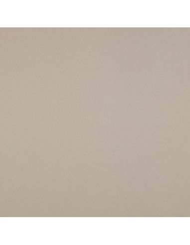 Tissu micro satin touché soie - Sable