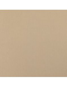 Tissu Scuba effet peau de pêche - Beige 2