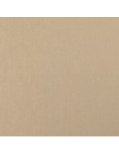 Tissu Scuba effet peau de pêche - Beige