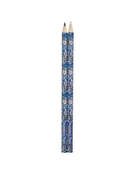 Crayon craie noir et blanc - Collection fleurs bleues