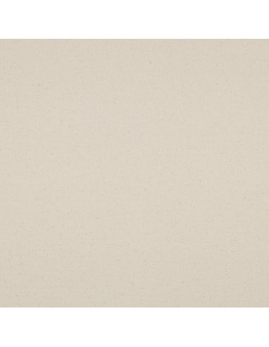 Toile de coton canvas - Naturel
