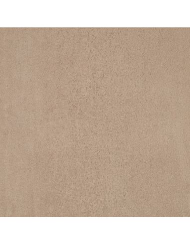 Tissu micro polaire - Sable