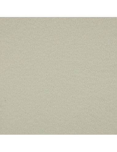 Tissu polaire Teddy double face - Écru