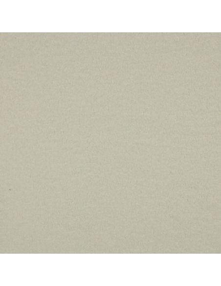 Tissu polaire Teddy double face - Écru