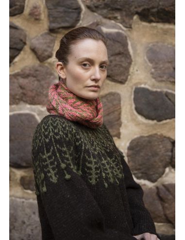 Livre tricot nordique II