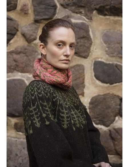 Livre tricot nordique II