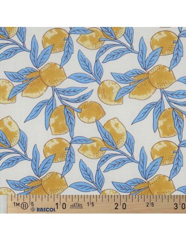 Tissu coton indien block print Citrons - Feuilles bleues