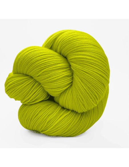 Laine New Carikai YKTL