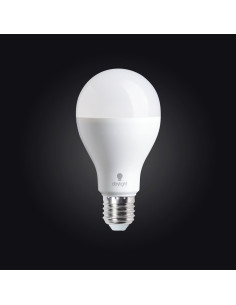 Ampoule Daylight LED lumière du jour - 19 watts à vis