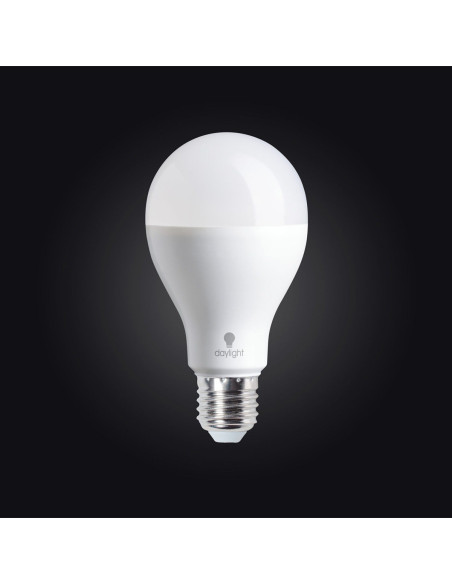 Ampoule Daylight LED lumière du jour - 19 watts à vis