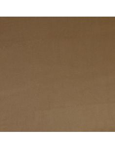 Tissu gabardine de viscose - Beige foncé 2