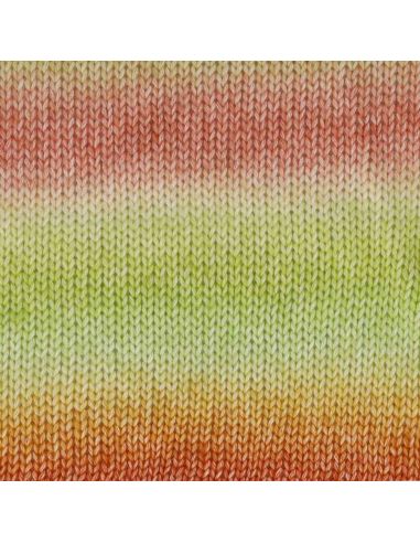 Laine Scheepjes Stone Washed Flow XL