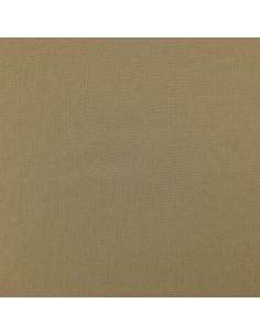 Tissu Scuba effet peau de pêche - Beige 2