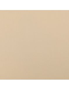 Tissu Scuba effet peau de pêche - Beige 2