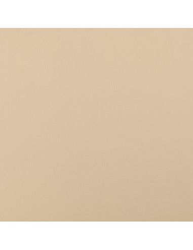 Tissu Scuba effet peau de pêche - Beige