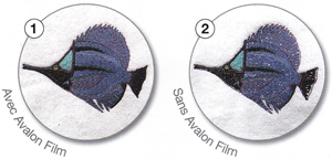 avalon film